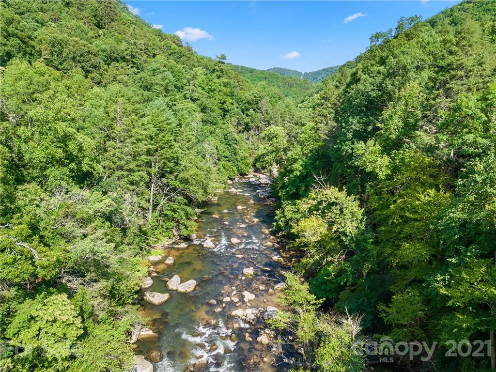 318 Summer Haven Lane Saluda, NC 28773 - Photo 36 of 40 a view of a lush green forest