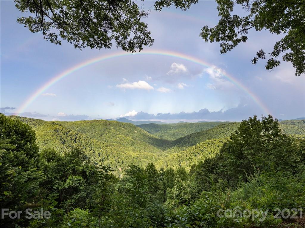 318 Summer Haven Lane Saluda, NC 28773 - Photo 37 of 40 a view of lake with mountain