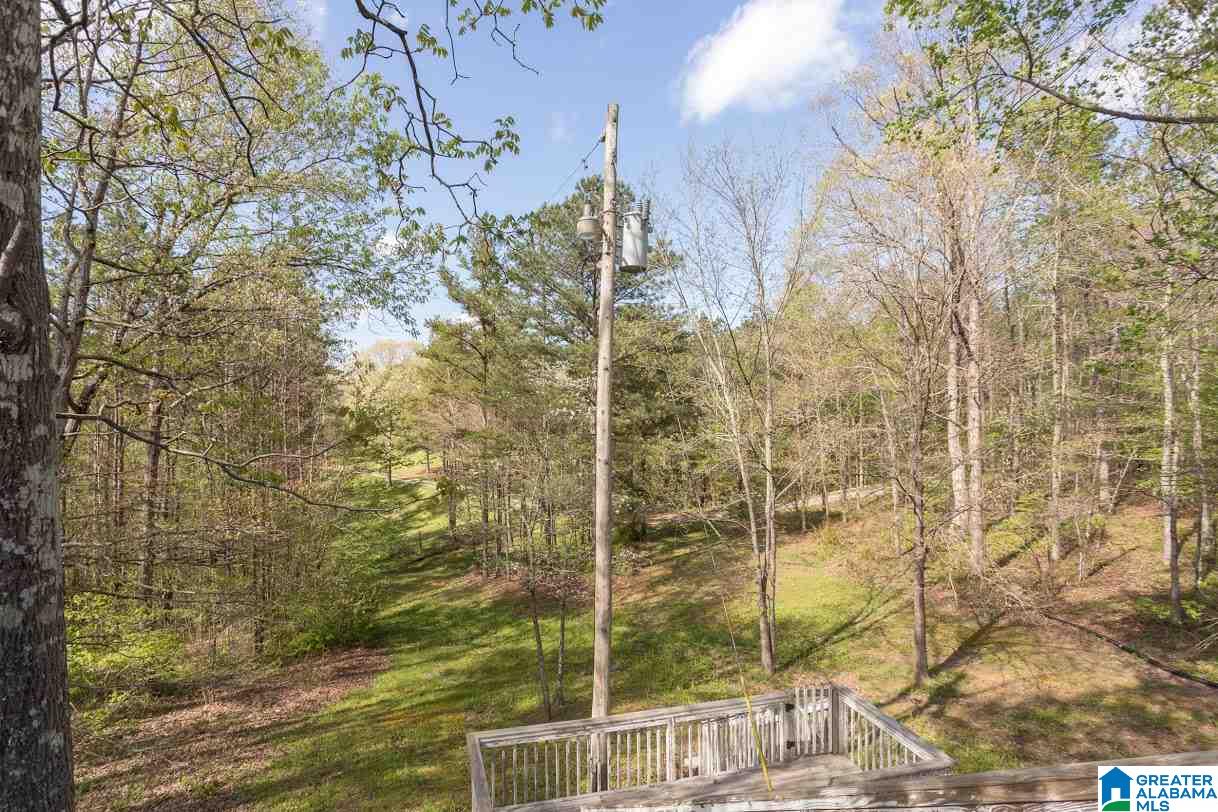2172 Ross Lake Road Wellington, AL 36279 - Photo 34 of 45