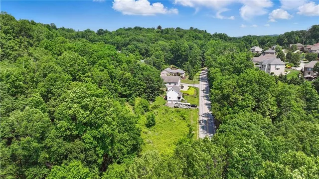 a green field with lots of bushes