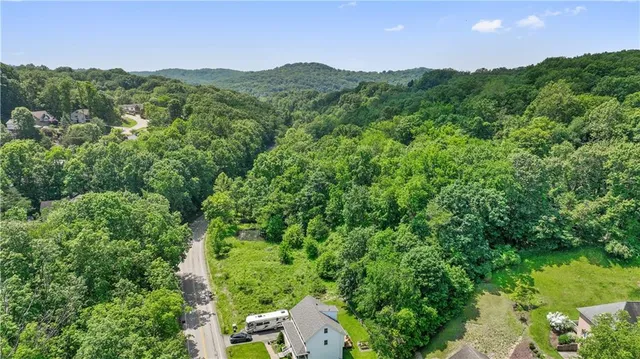a view of a green field with lots of bushes