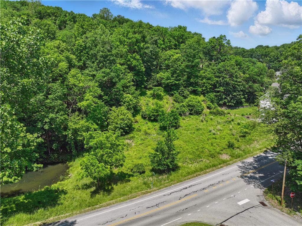 3356 Tarr Hollow Road Murrysville, PA 15668 - Photo 21 of 23 a view of a garden with a plant