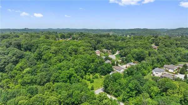 a view of a city with lush green forest