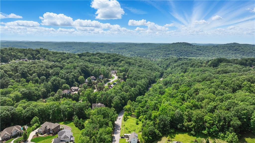 3356 Tarr Hollow Road Murrysville, PA 15668 - Photo 3 of 23 a view of a big yard