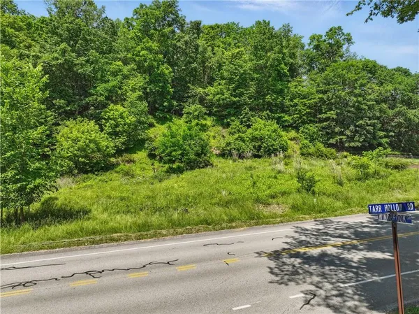 an outdoor view of a road and a yard