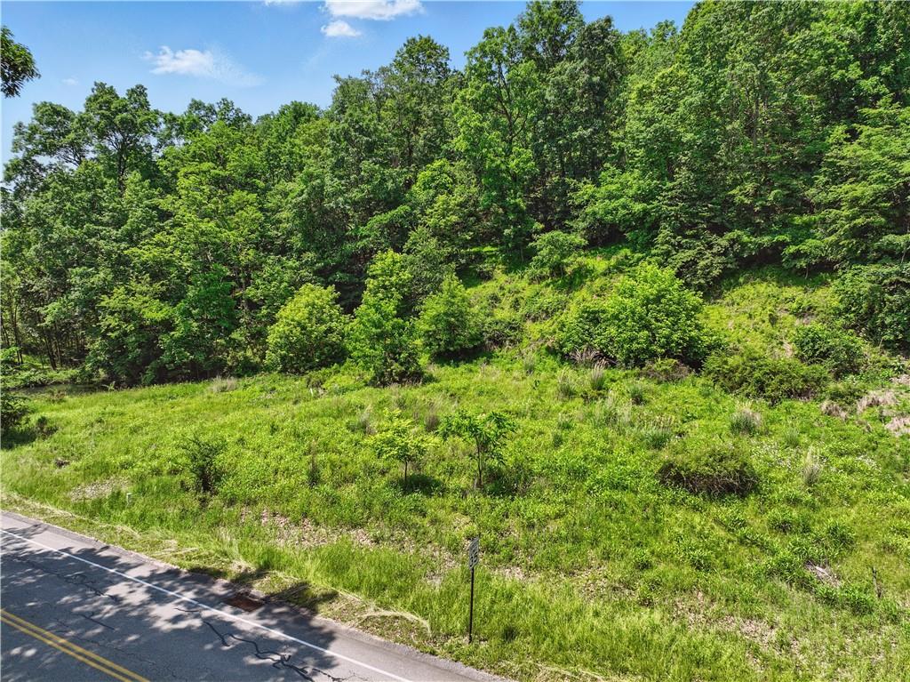 3356 Tarr Hollow Road Murrysville, PA 15668 - Photo 9 of 23 a view of a lush green forest