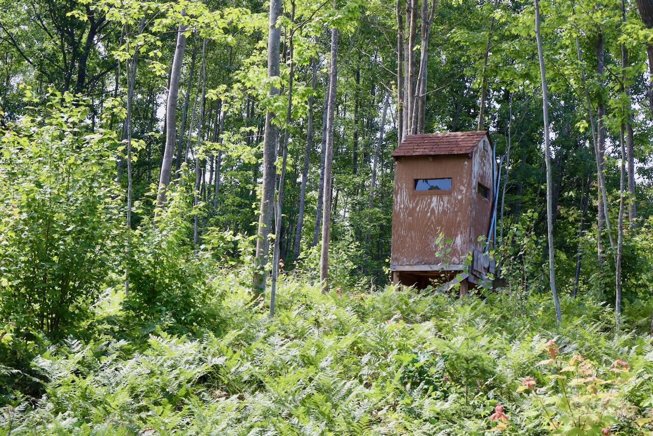 20-ac West Clarence Road Harrison, MI 48625 - Photo 2 of 32 003