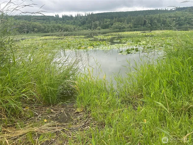 a view of lake with green space