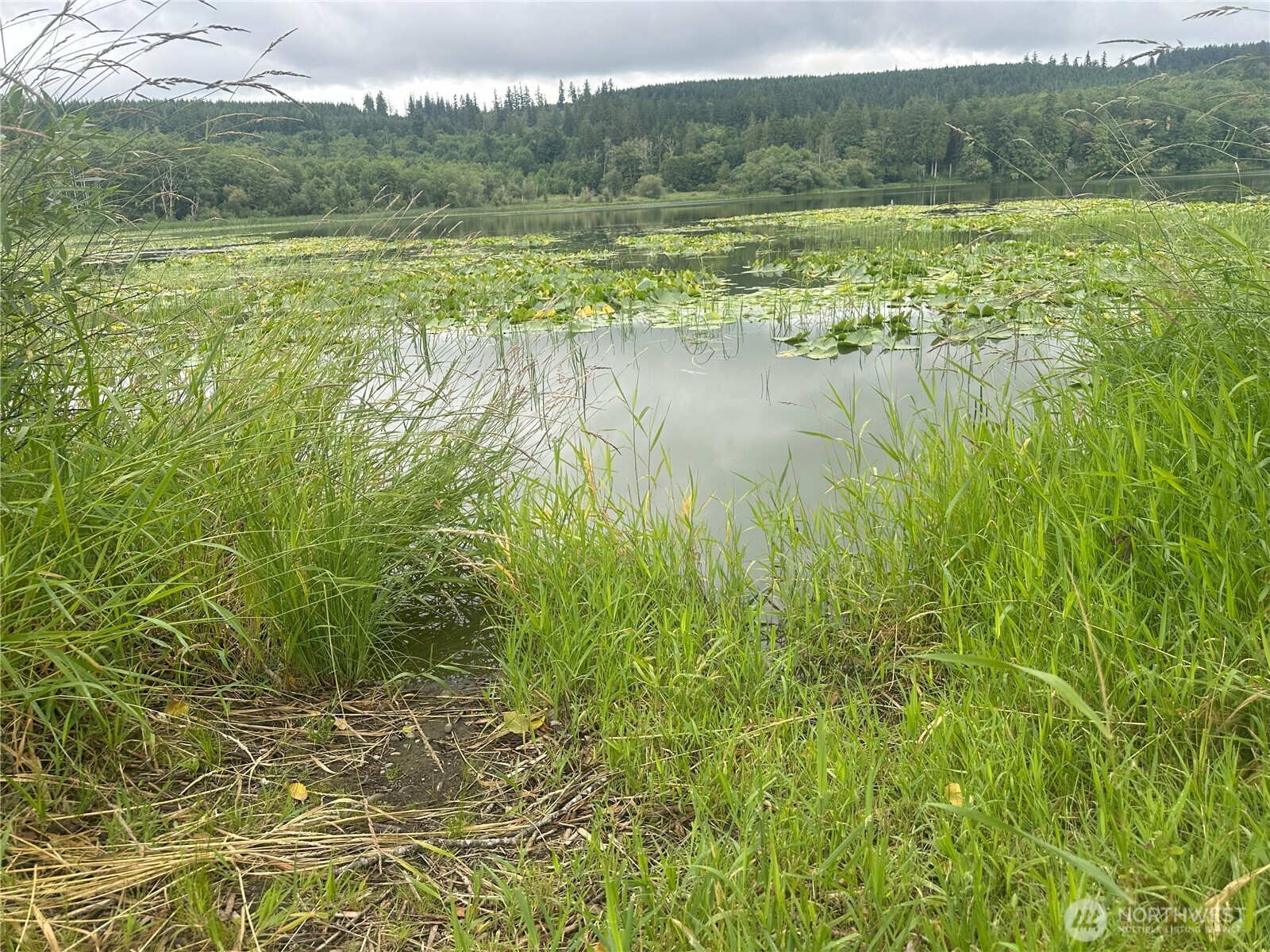 0 Skidder Hill Road Quilcene, WA 98376 - Photo 11 of 13 a view of lake with green space