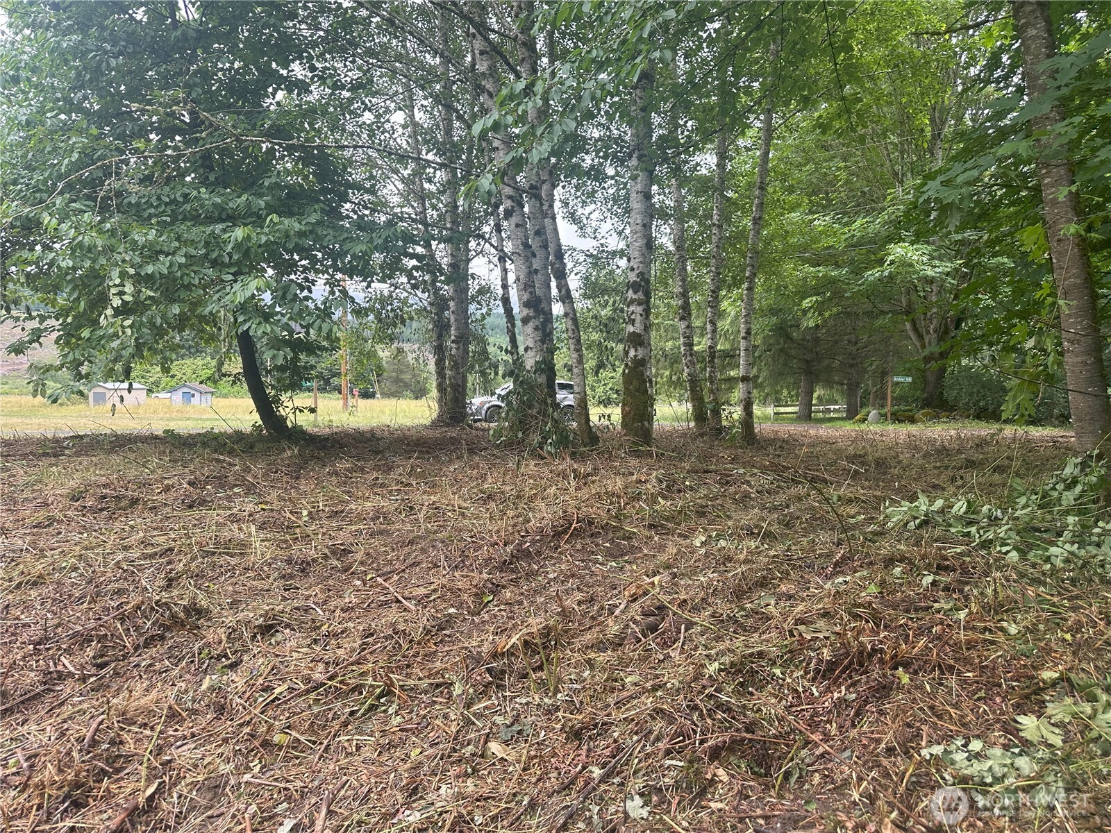 0 Skidder Hill Road Quilcene, WA 98376 - Photo 2 of 13 a view of outdoor space with trees