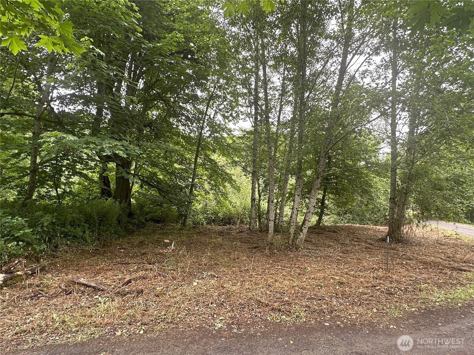 0 Skidder Hill Road Quilcene, WA 98376 - Photo 5 of 13 a view of outdoor space and view