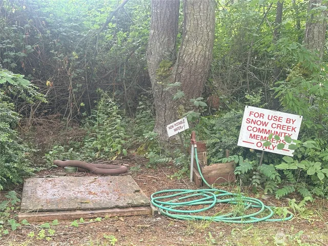 a backyard of a house with lots of green space and fountain