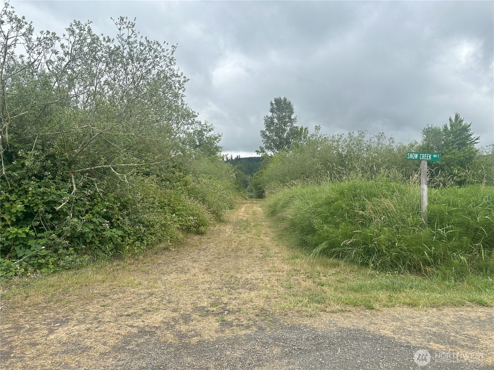 0 Skidder Hill Road Quilcene, WA 98376 - Photo 10 of 13 a view of a big yard with lots of green space and deers