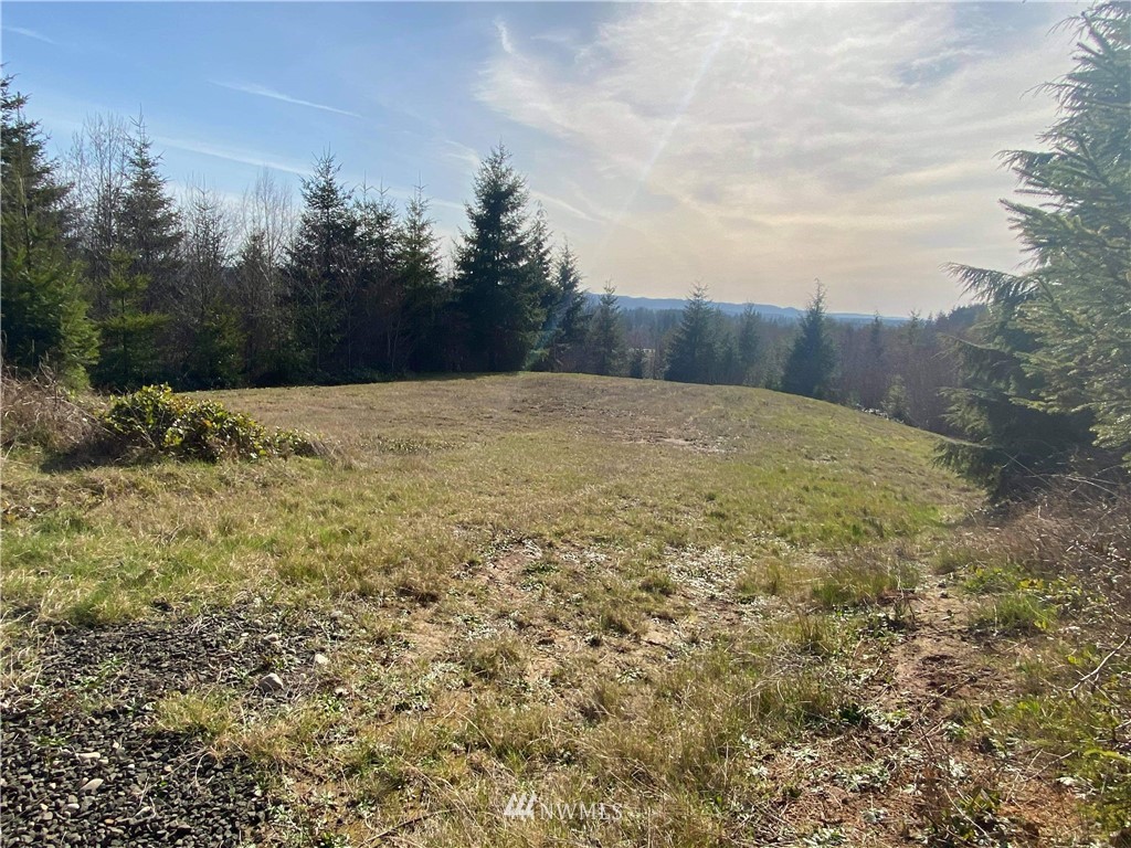 31 Overview Lane Elma, WA 98541 - Photo 5 of 9 Gallery Image 5