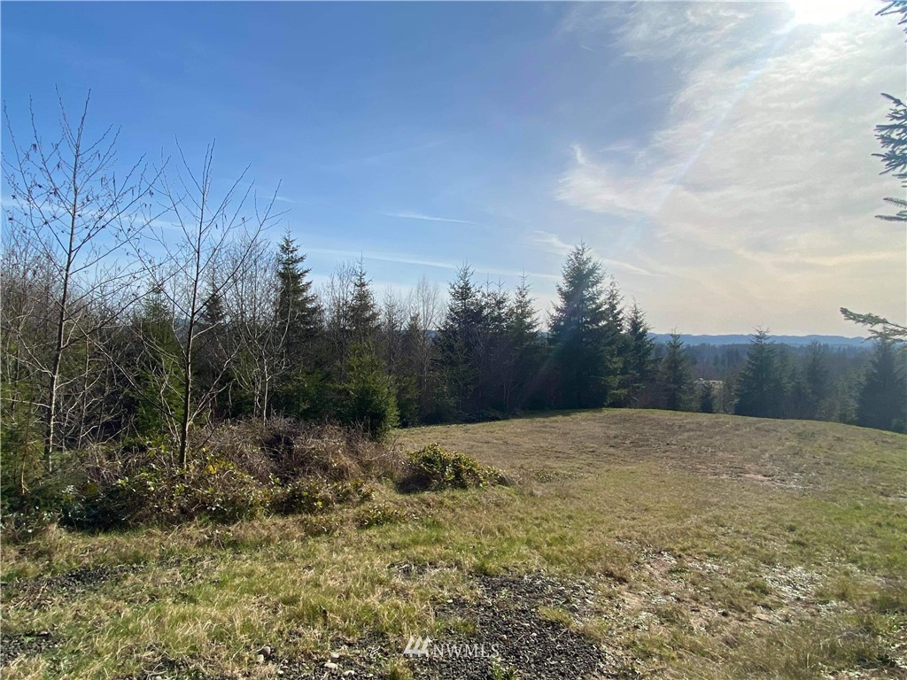 31 Overview Lane Elma, WA 98541 - Photo 6 of 9 Gallery Image 6