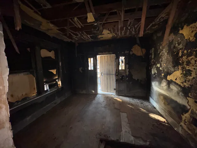 a view of a street with a tree