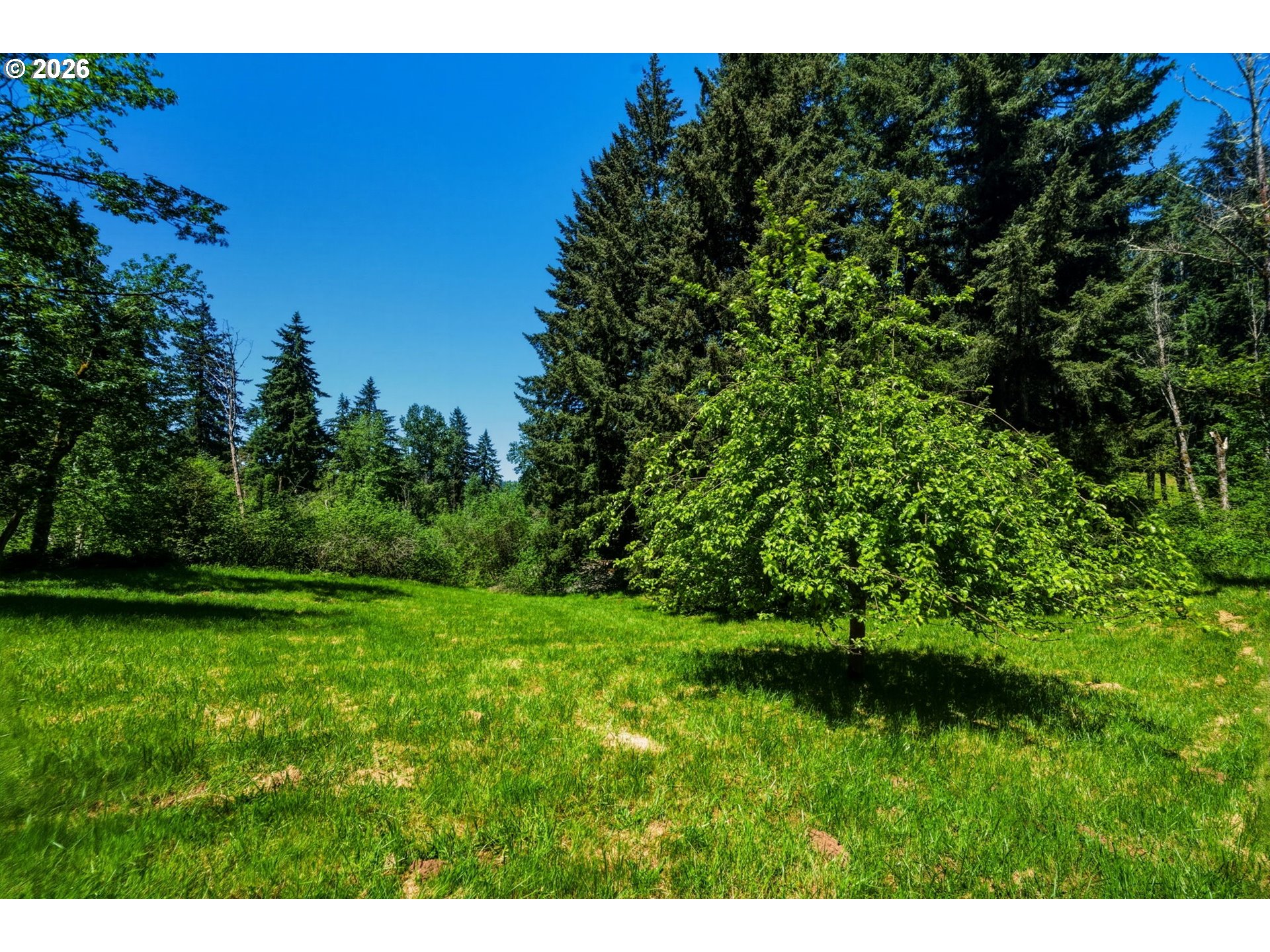 25421 Southeast Sunshine Valley Road Damascus, OR 97089 - Photo 42 of 46