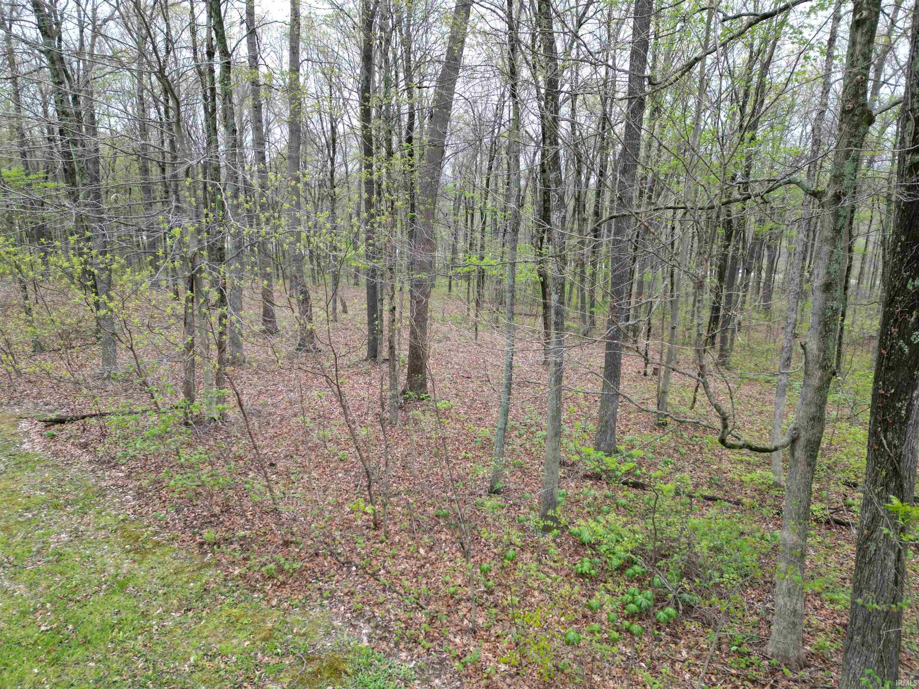 4 East Pine Road Bloomfield, IN 47424 - Photo 3 of 11