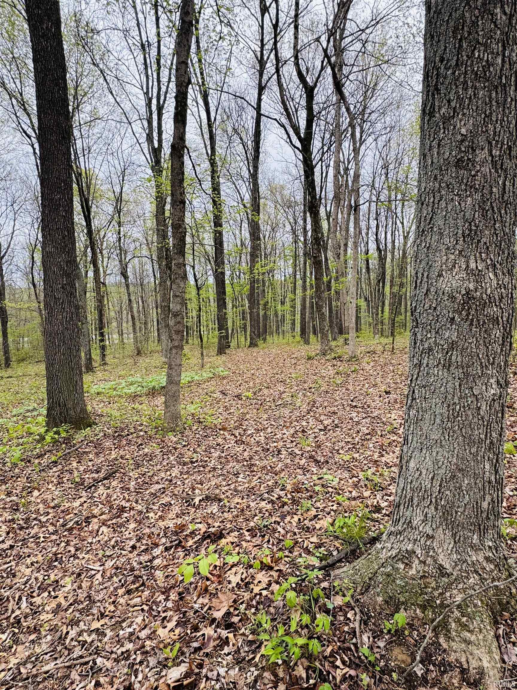 4 East Pine Road Bloomfield, IN 47424 - Photo 7 of 11