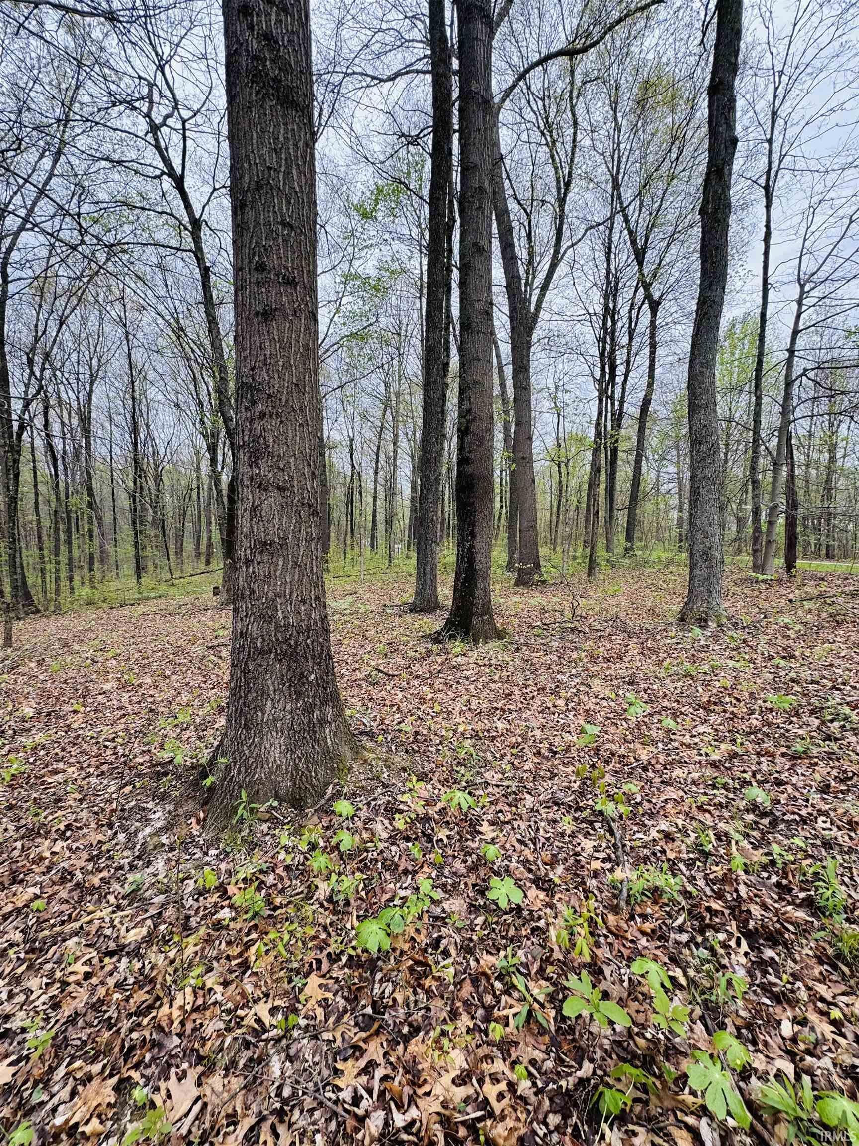 4 East Pine Road Bloomfield, IN 47424 - Photo 8 of 11