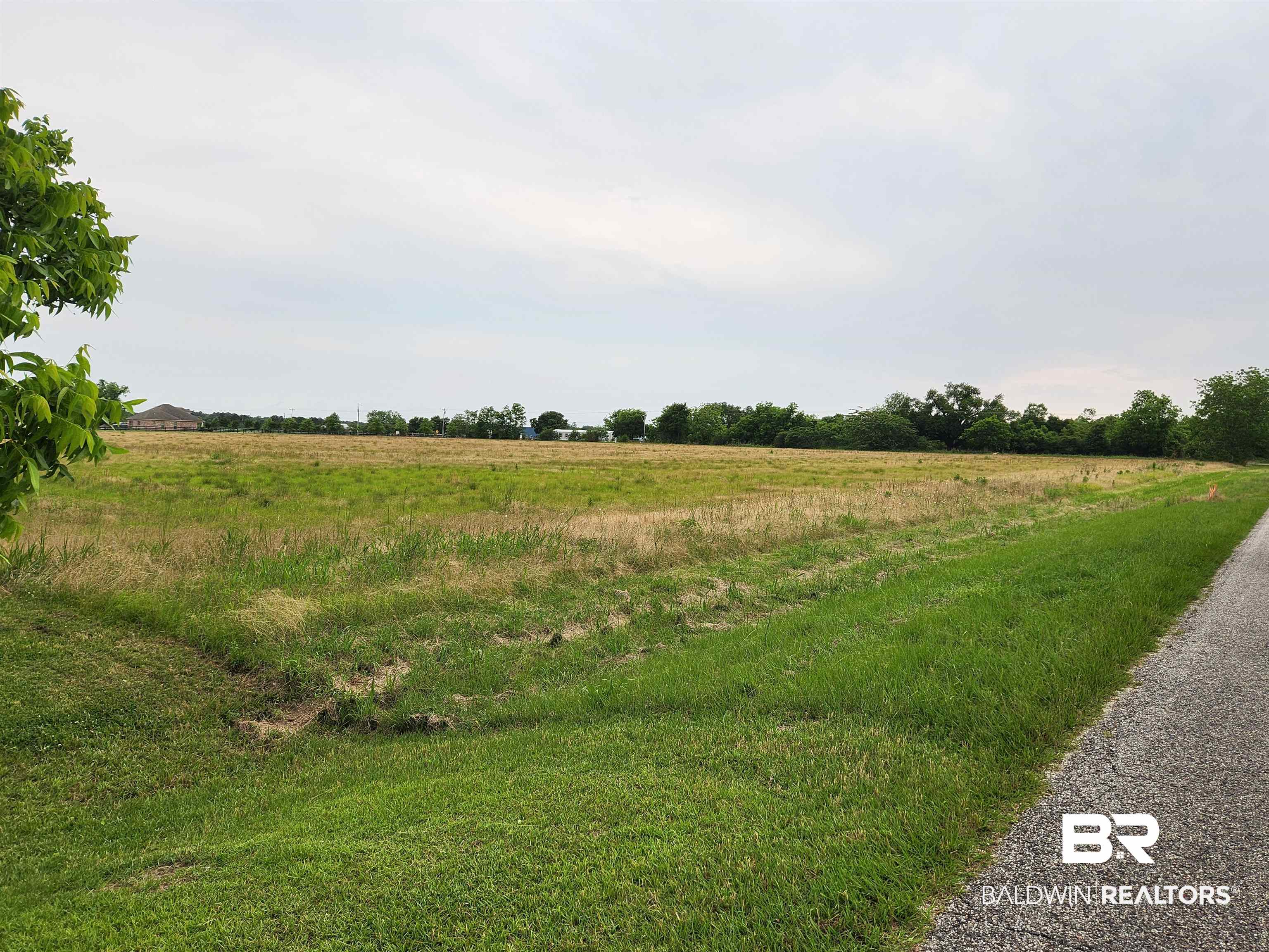 0 County Road 10 Foley, AL 36535 - Photo 3 of 6