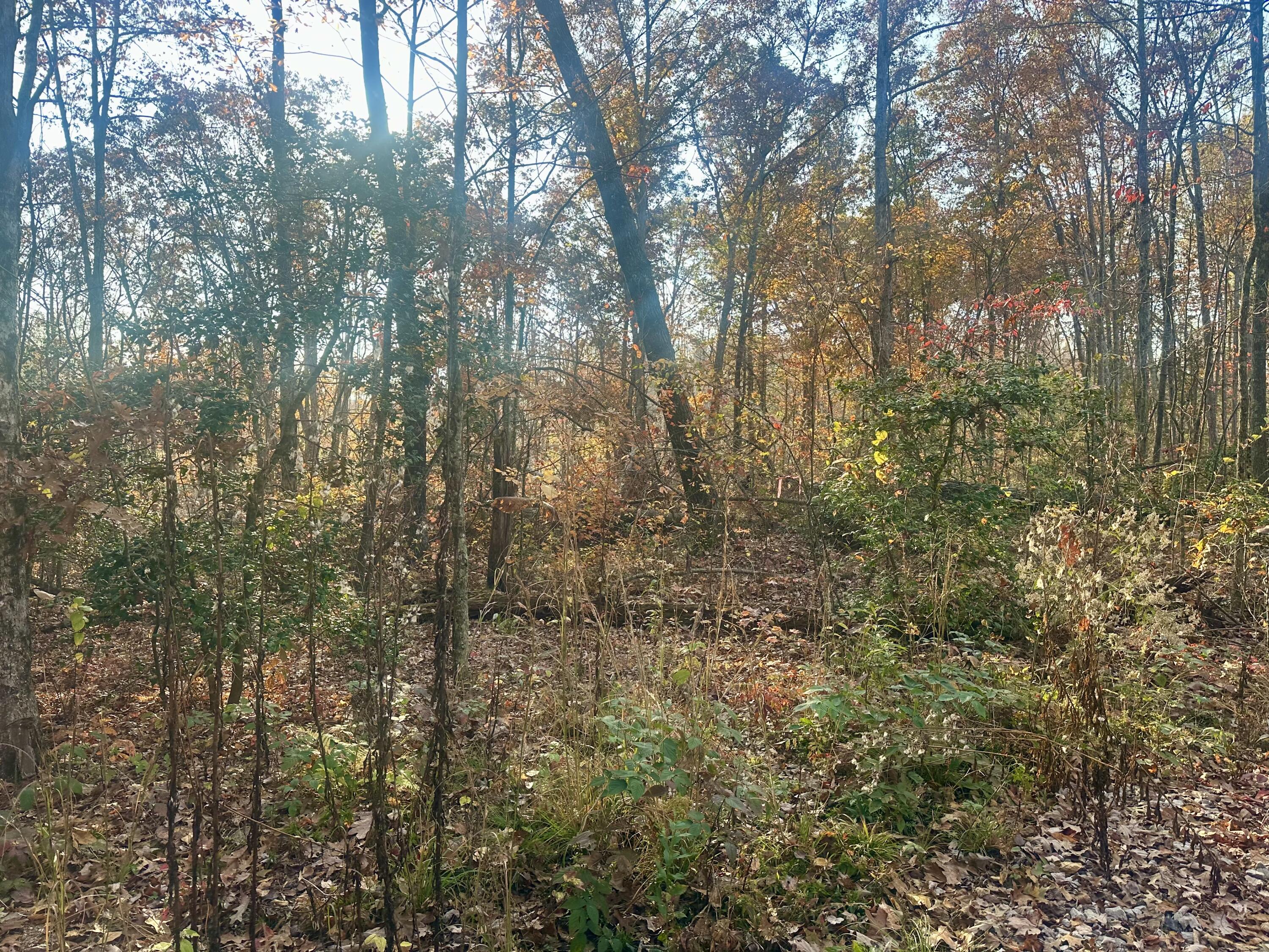 10 Bozeman Road Corbin, KY 40701 - Photo 24 of 30 IMG_7838