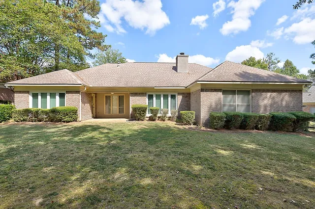 a view of a forest with trees in the background