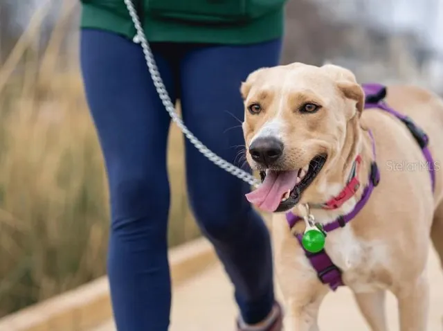 $529,900 | 804 Southwest 80th Boulevard, Gainesville, FL 32607