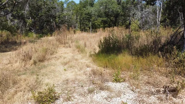 a view of a bunch of trees and houses