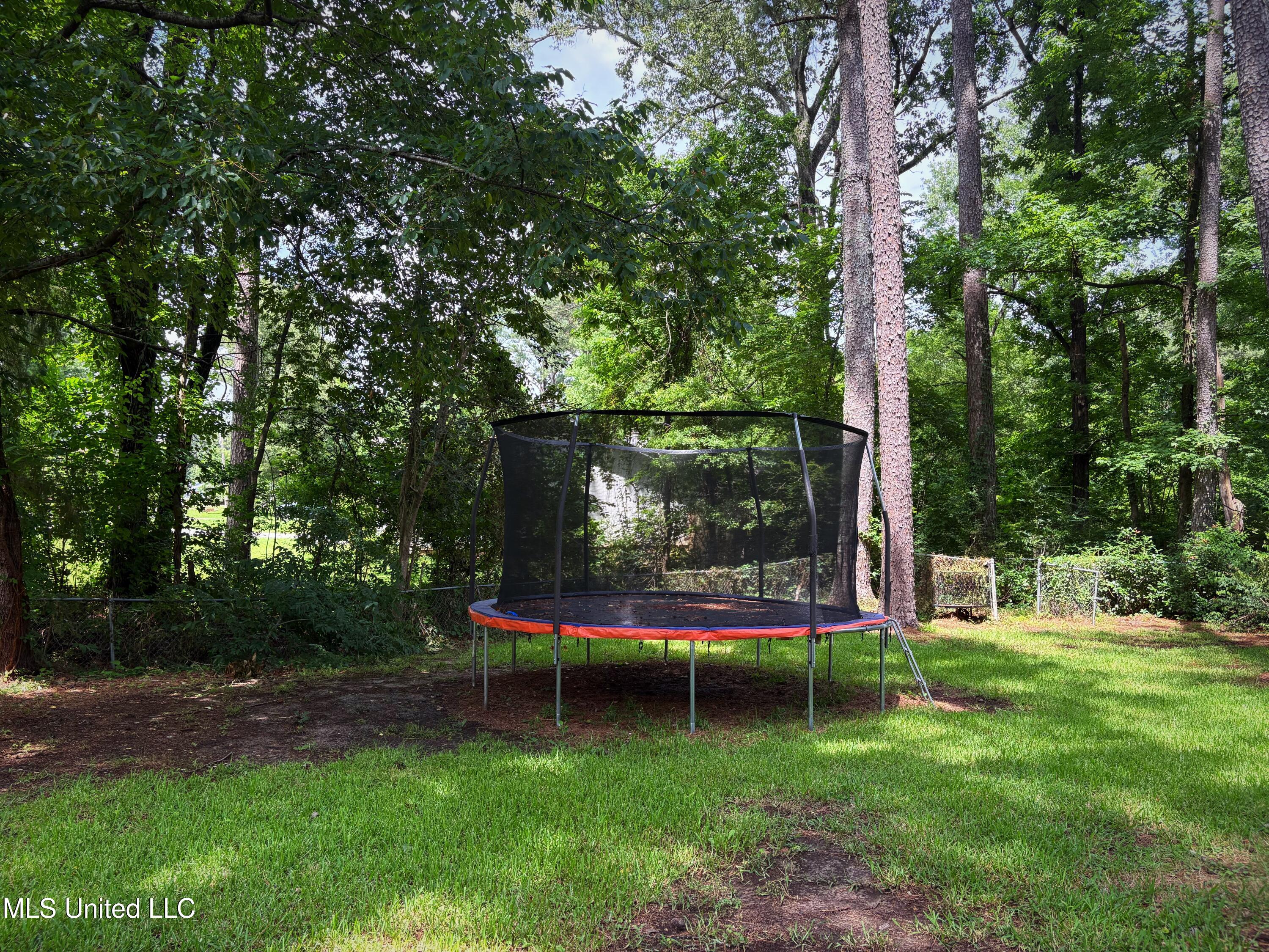 101 Dogwood Circle Brandon, MS 39047 - Photo 11 of 11 Backyard