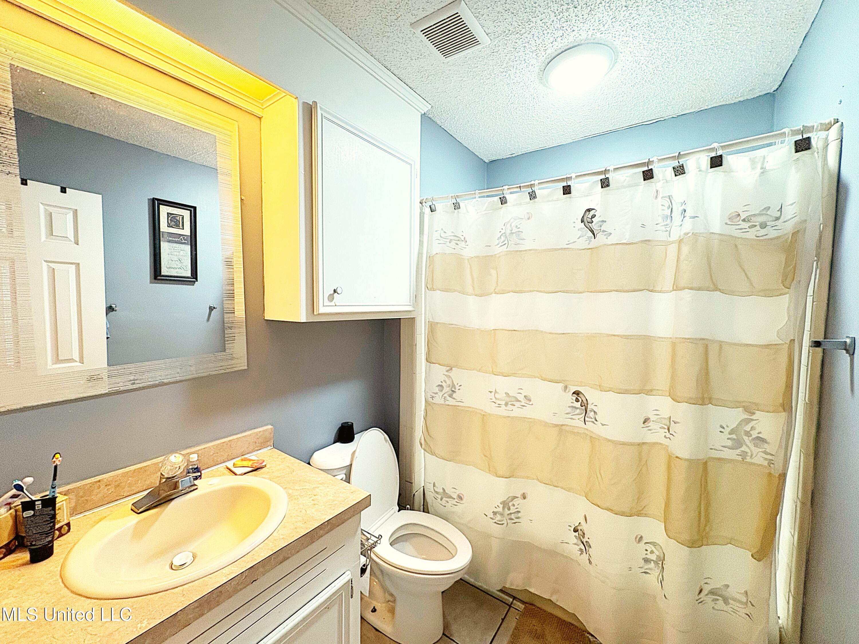 101 Dogwood Circle Brandon, MS 39047 - Photo 6 of 11 Bathroom