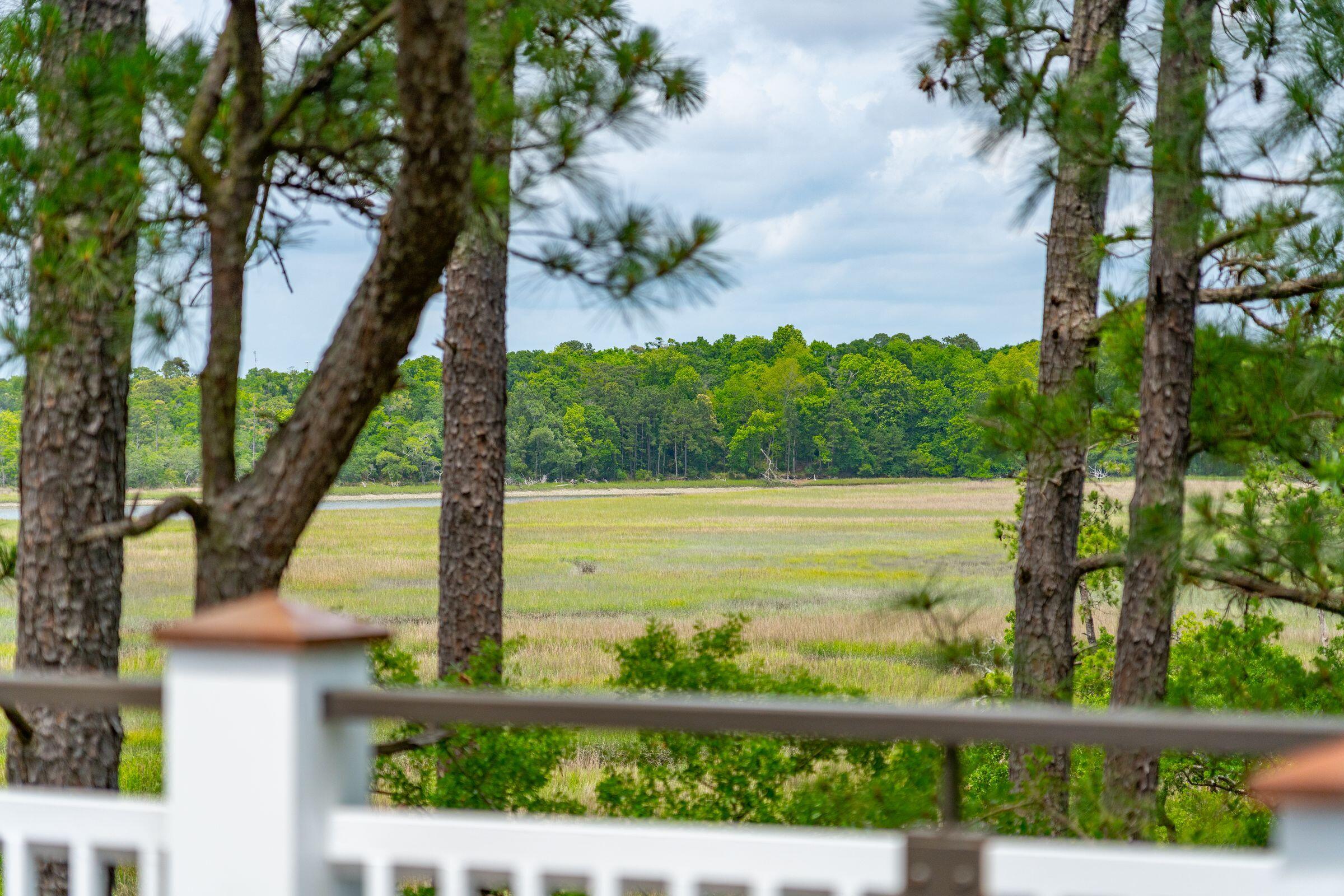 47 Robert Mills Circle Mount Pleasant, SC 29464 - Photo 67 of 98 Serene marsh views from the porch