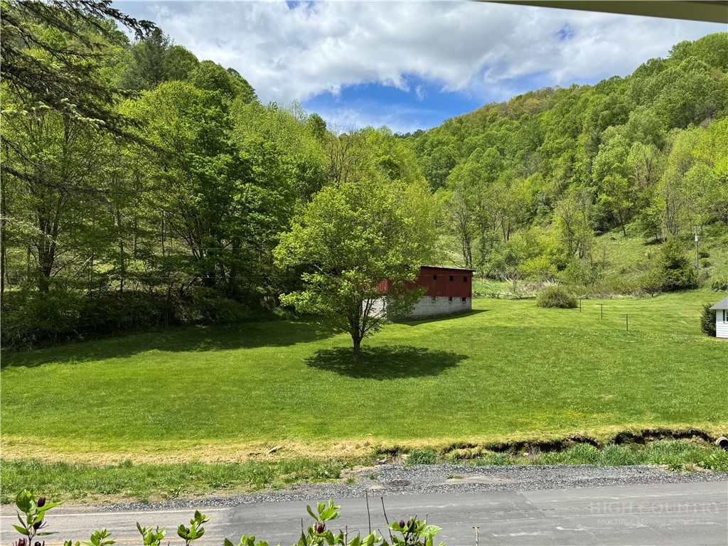 2510 Rich Hill Road Creston, NC 28615 - Photo 28 of 38 a garden with lots of trees