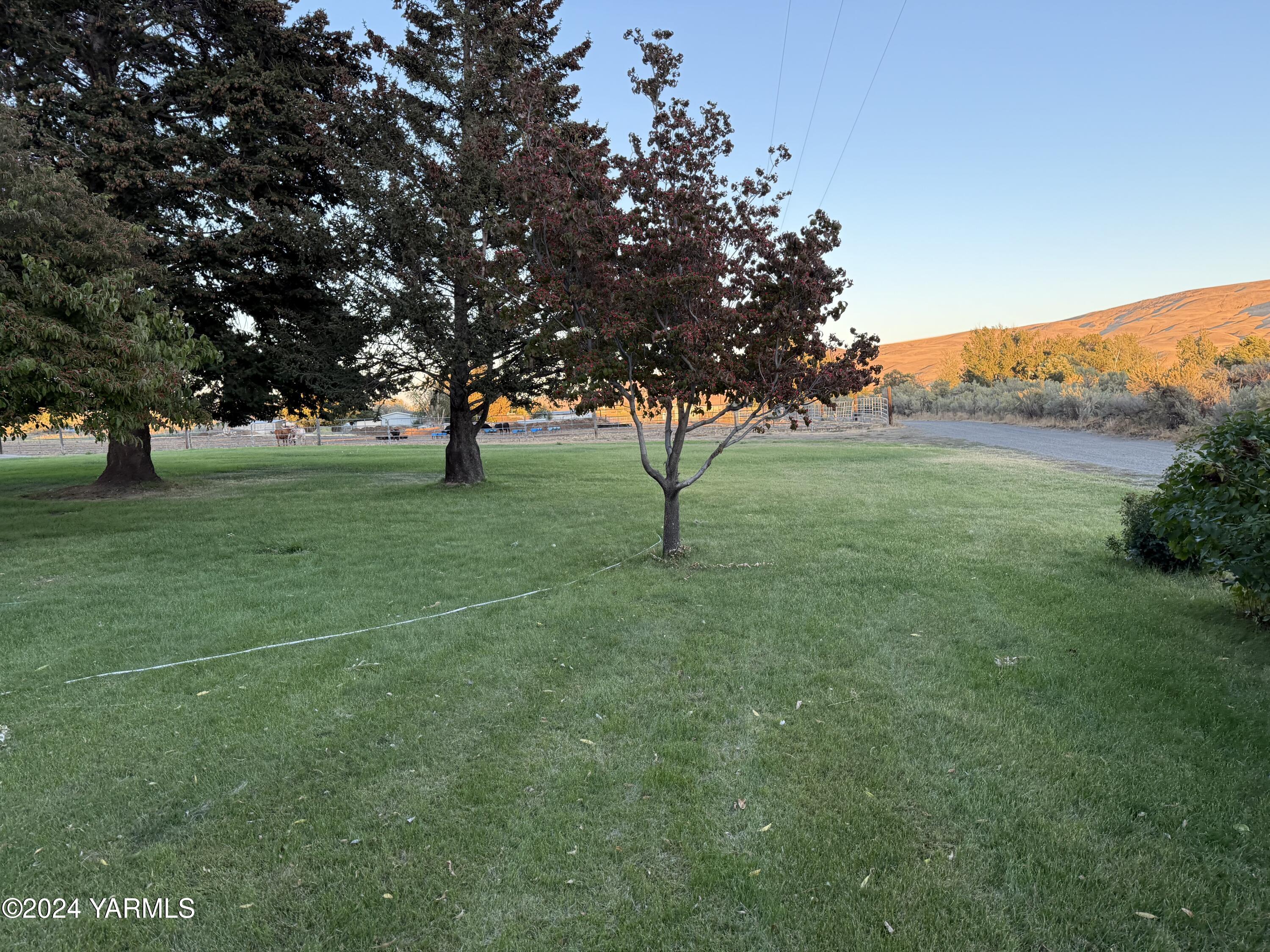19101 North Beers Road Prosser, WA 99350 - Photo 15 of 45 a view of field with trees