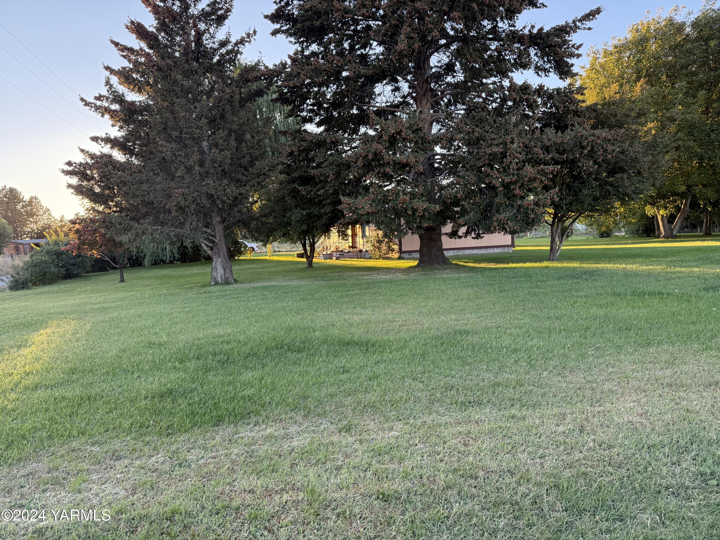 19101 North Beers Road Prosser, WA 99350 - Photo 4 of 45 a big yard with lots of green space and trees