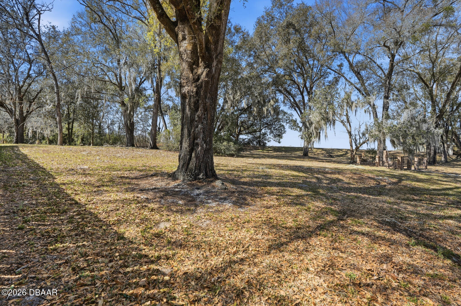 2850 Green Mountain Road DeLand, FL 32720 - Photo 56 of 56 62_dsc07220