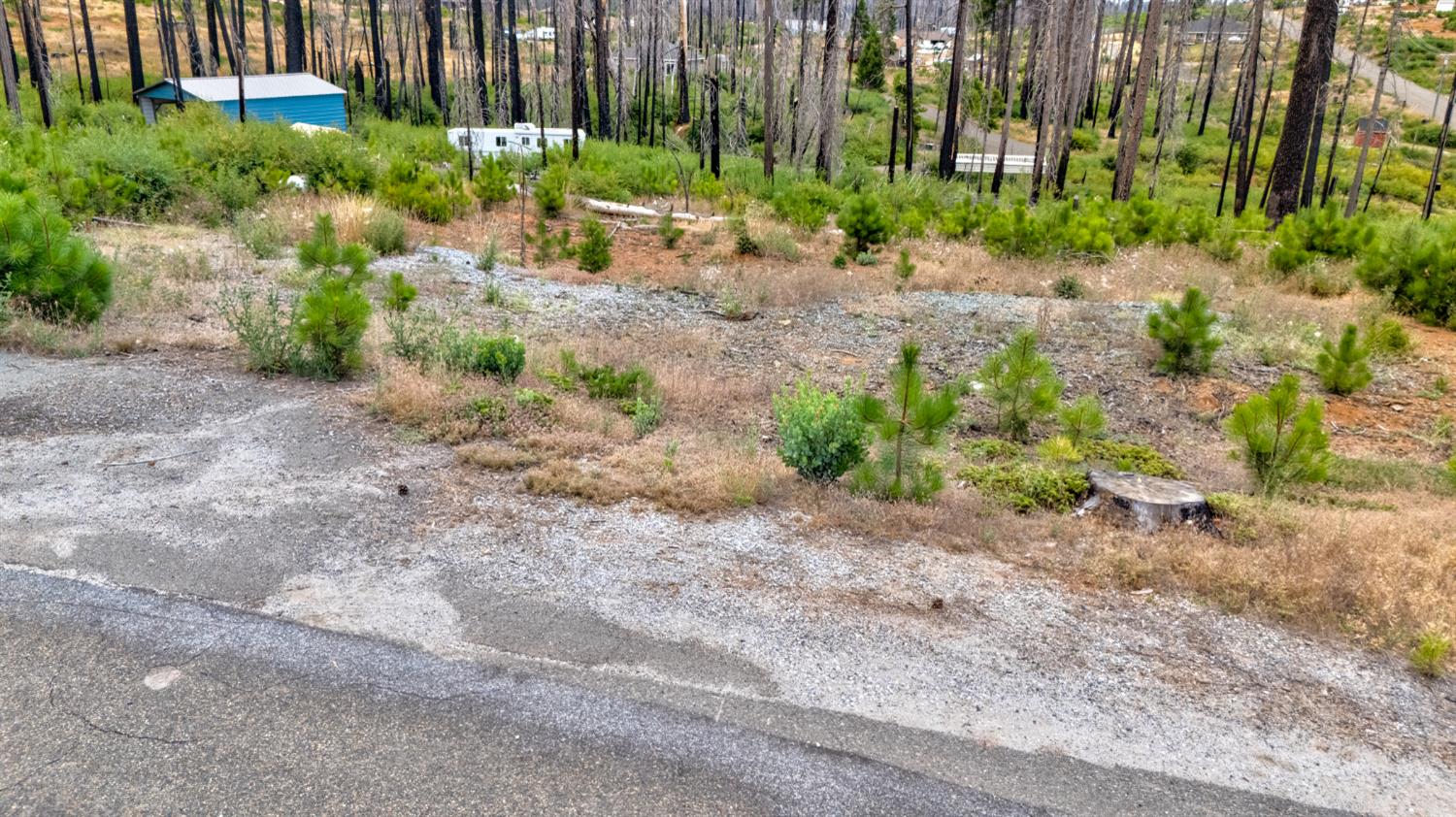 4529 String Canyon Road Grizzly Flats, CA 95636 - Photo 11 of 17