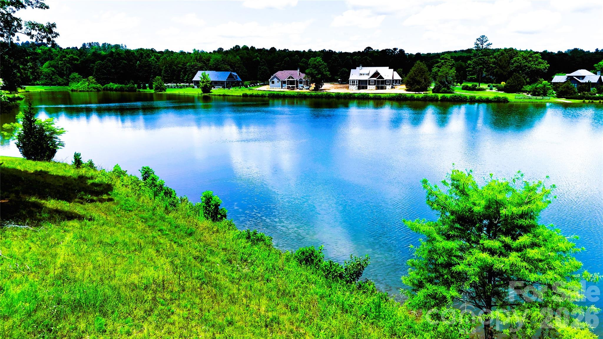 0 Mapleton Lane, Unit LOT 6 Columbus, NC 28722 - Photo 8 of 25