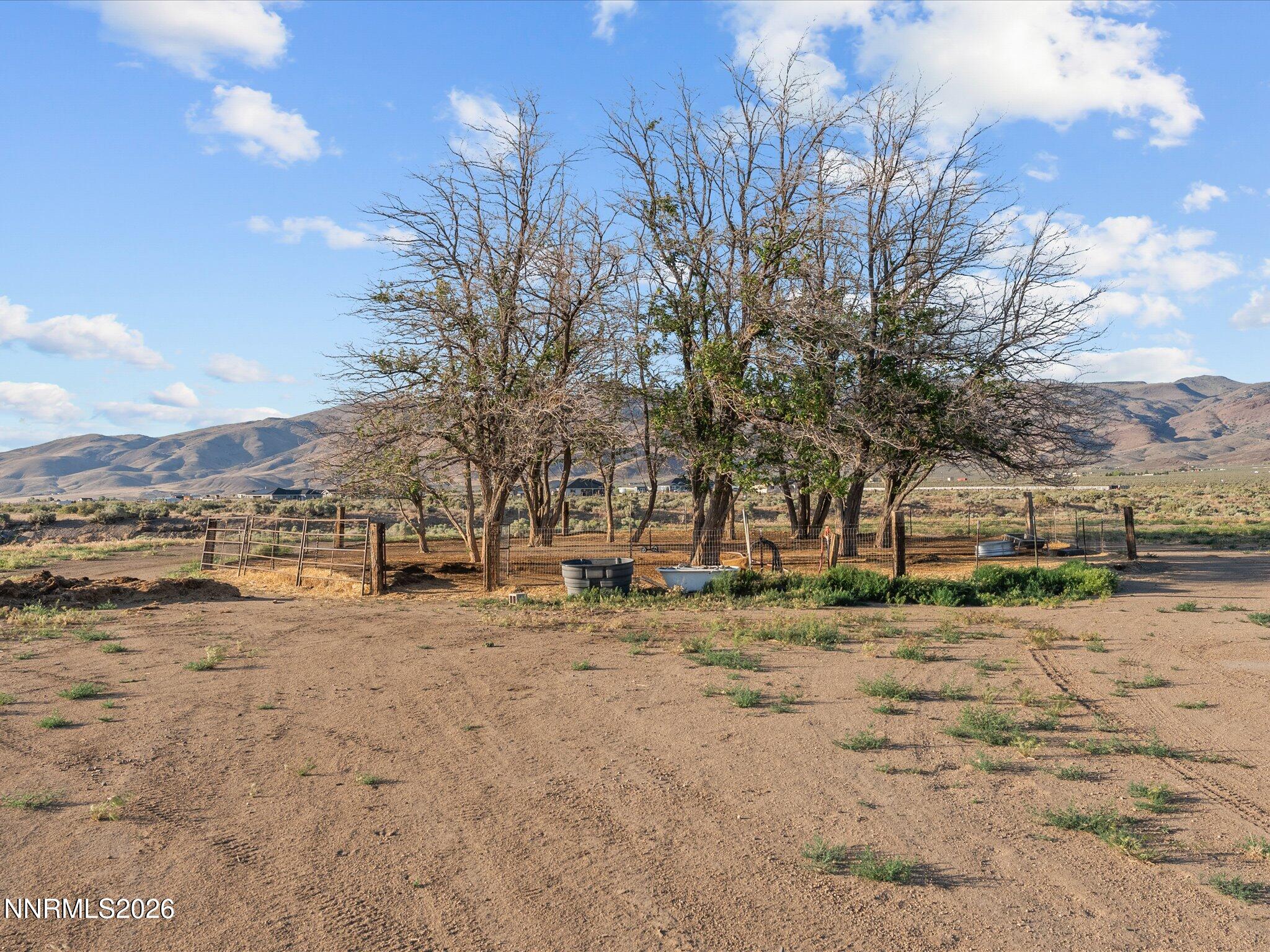 4555 Amy Road Reno, NV 89510 - Photo 37 of 74 a view of a yard with a large tree
