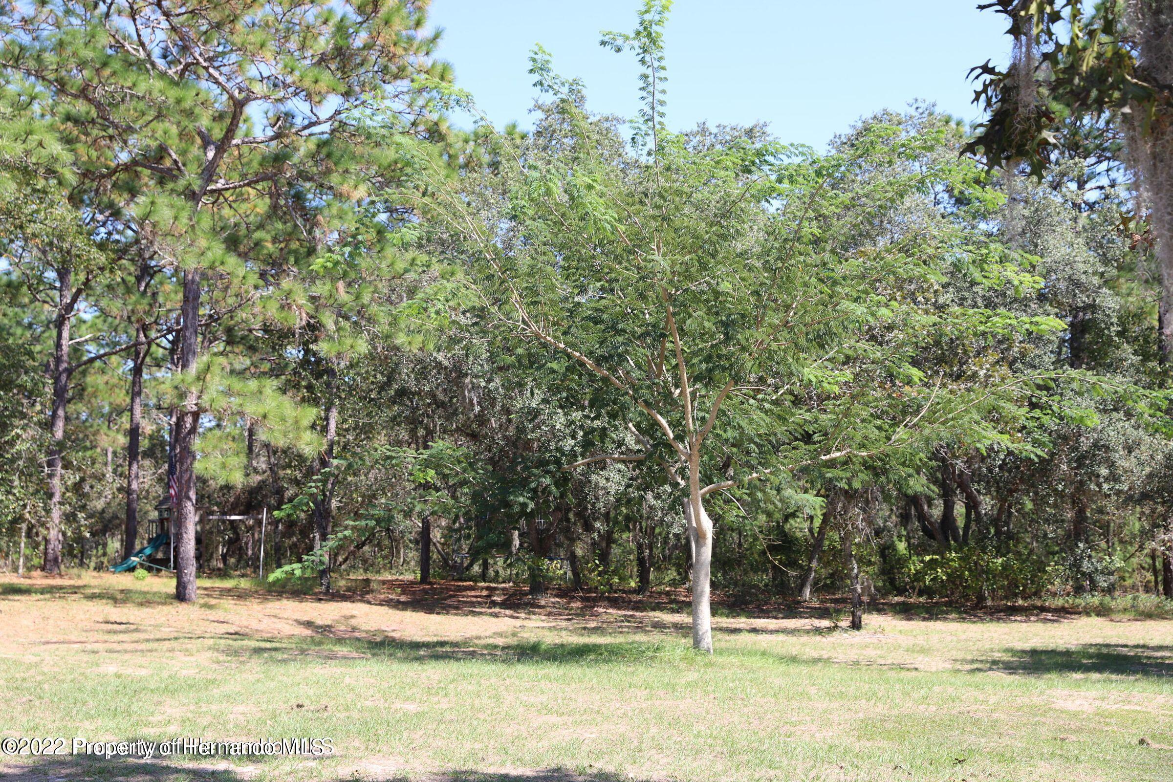 12180 Sunshine Grove Road Brooksville, FL 34614 - Photo 30 of 35 29