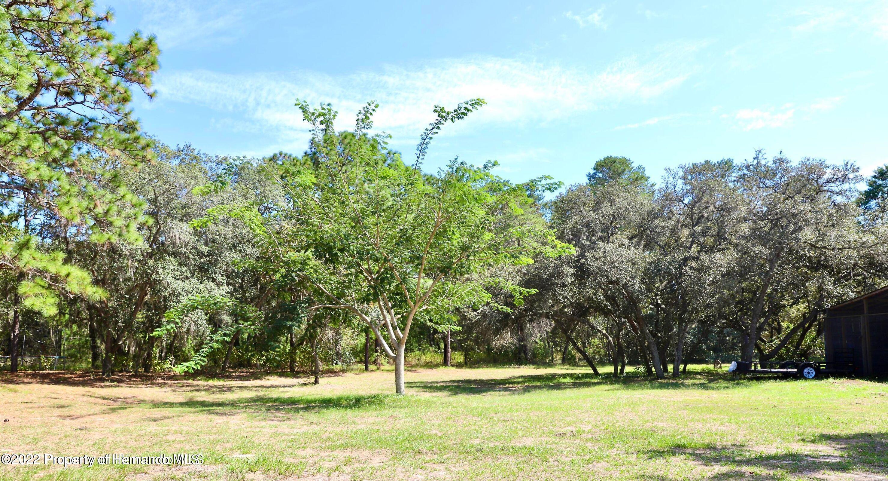 12180 Sunshine Grove Road Brooksville, FL 34614 - Photo 34 of 35 33