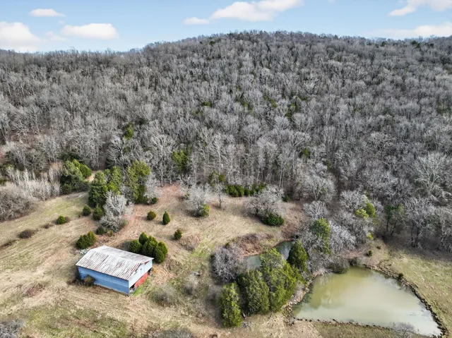 a view of a dry yard with wooden fence