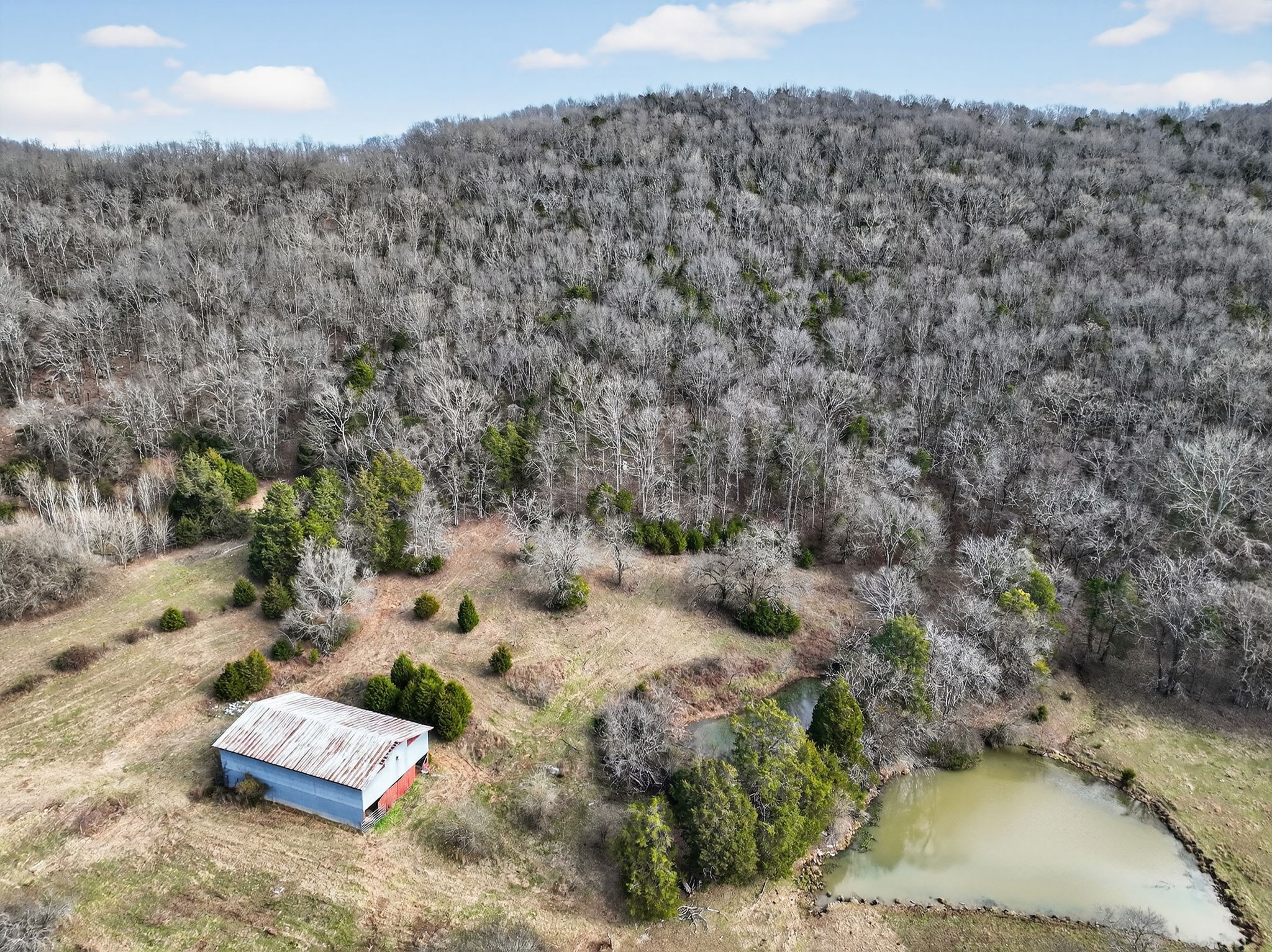 0 Whitefield Lane Carthage, TN 37030 - Photo 3 of 10 a view of a dry yard with wooden fence