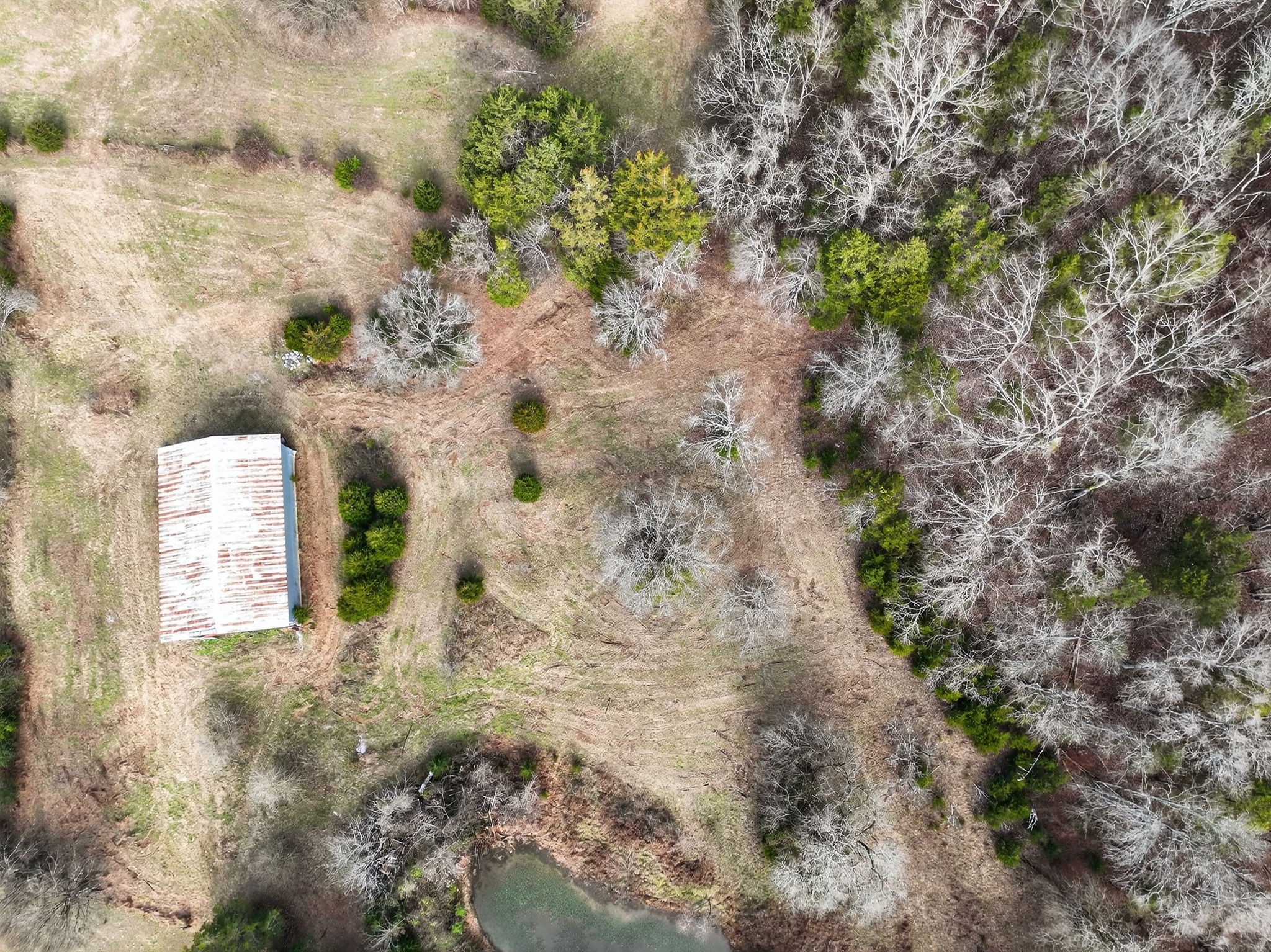 0 Whitefield Lane Carthage, TN 37030 - Photo 4 of 10