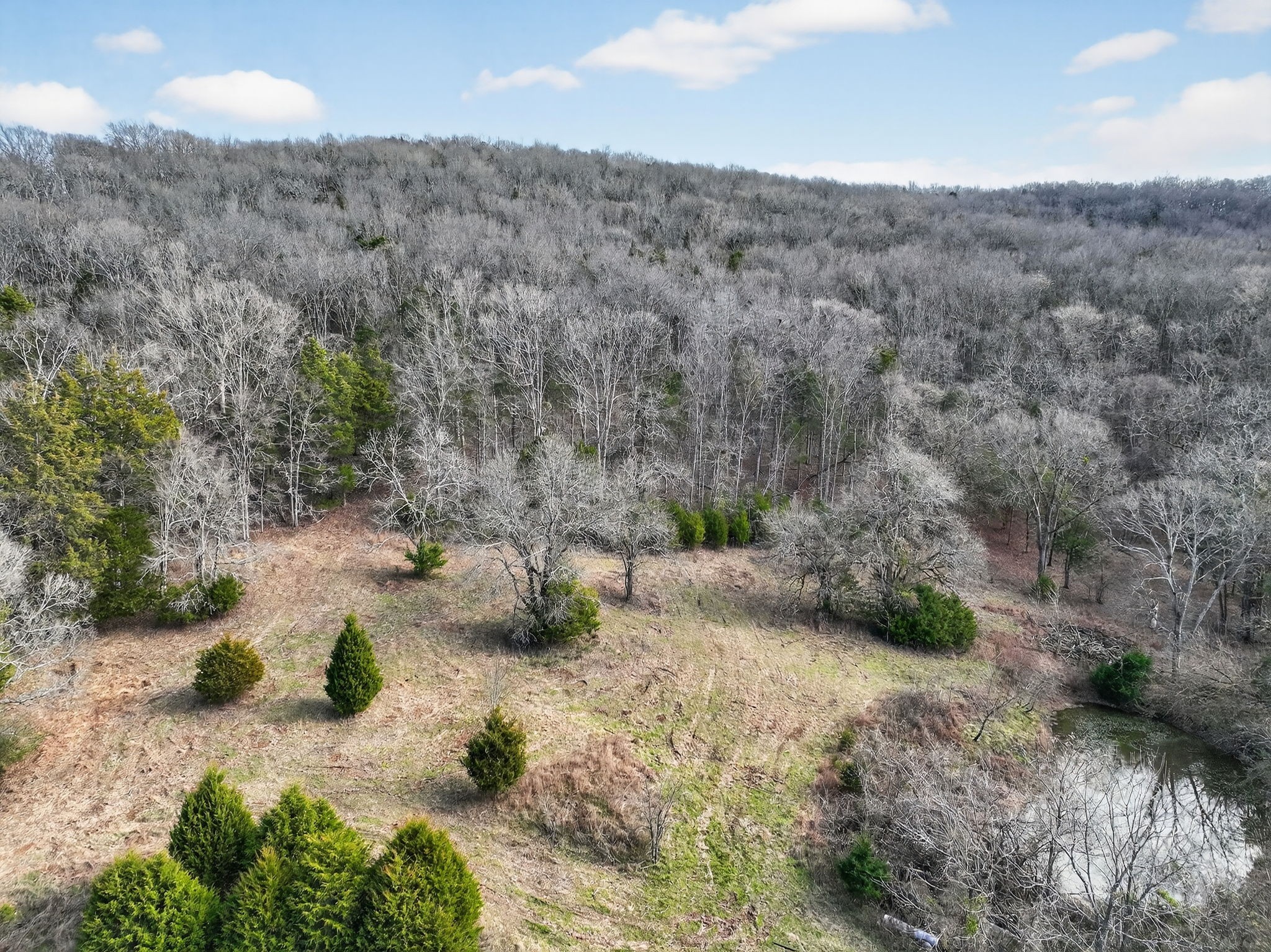 0 Whitefield Lane Carthage, TN 37030 - Photo 5 of 10