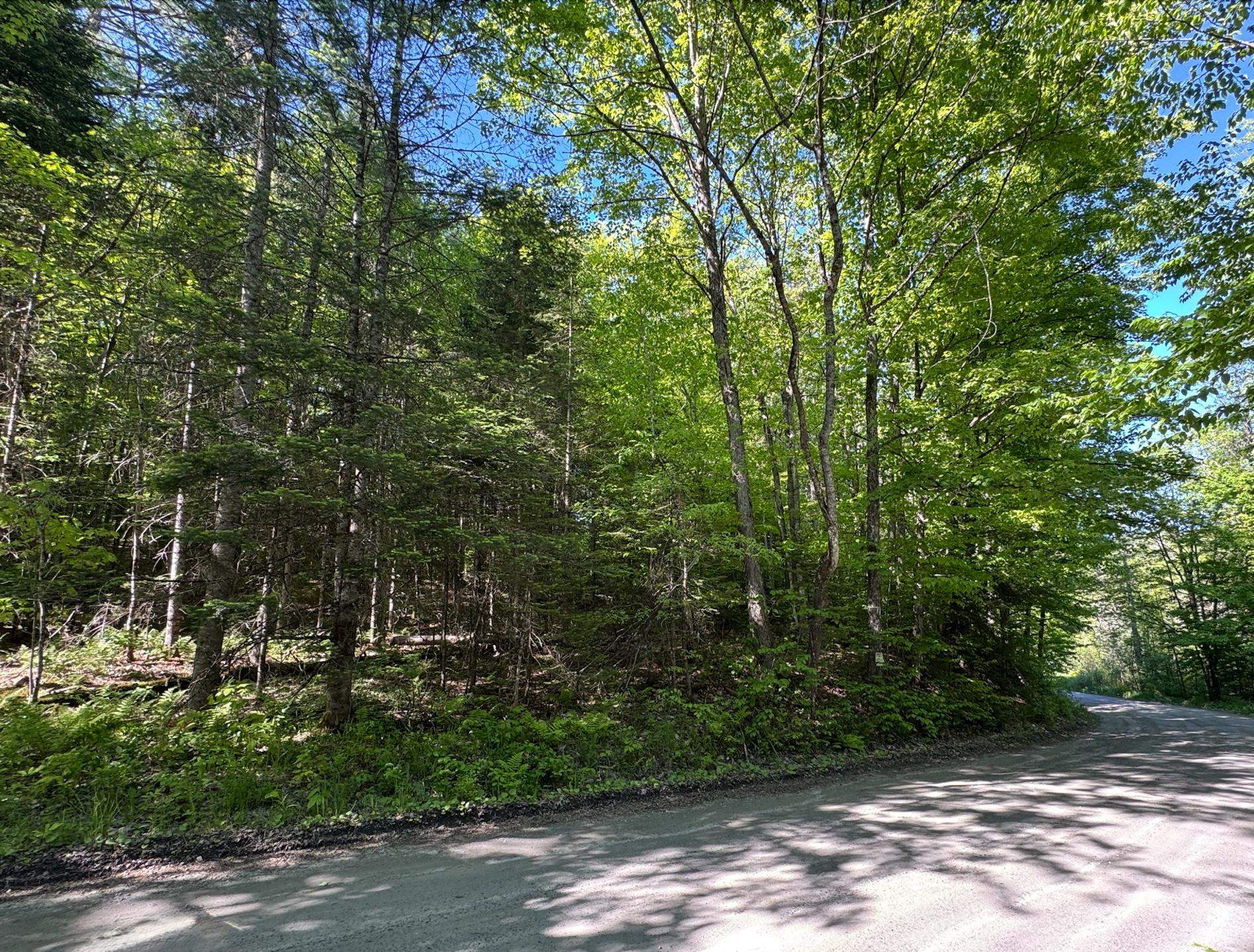 2800 Dugar Brook Road Calais, VT 05650 - Photo 10 of 12