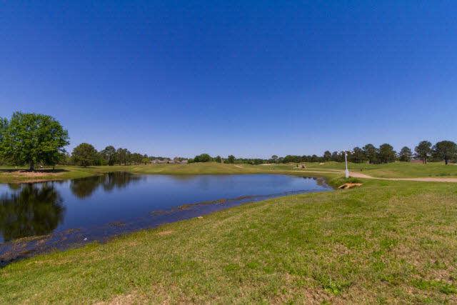 9075 Caddie Circle Foley, AL 36535 - Photo 21 of 23 Community Lake