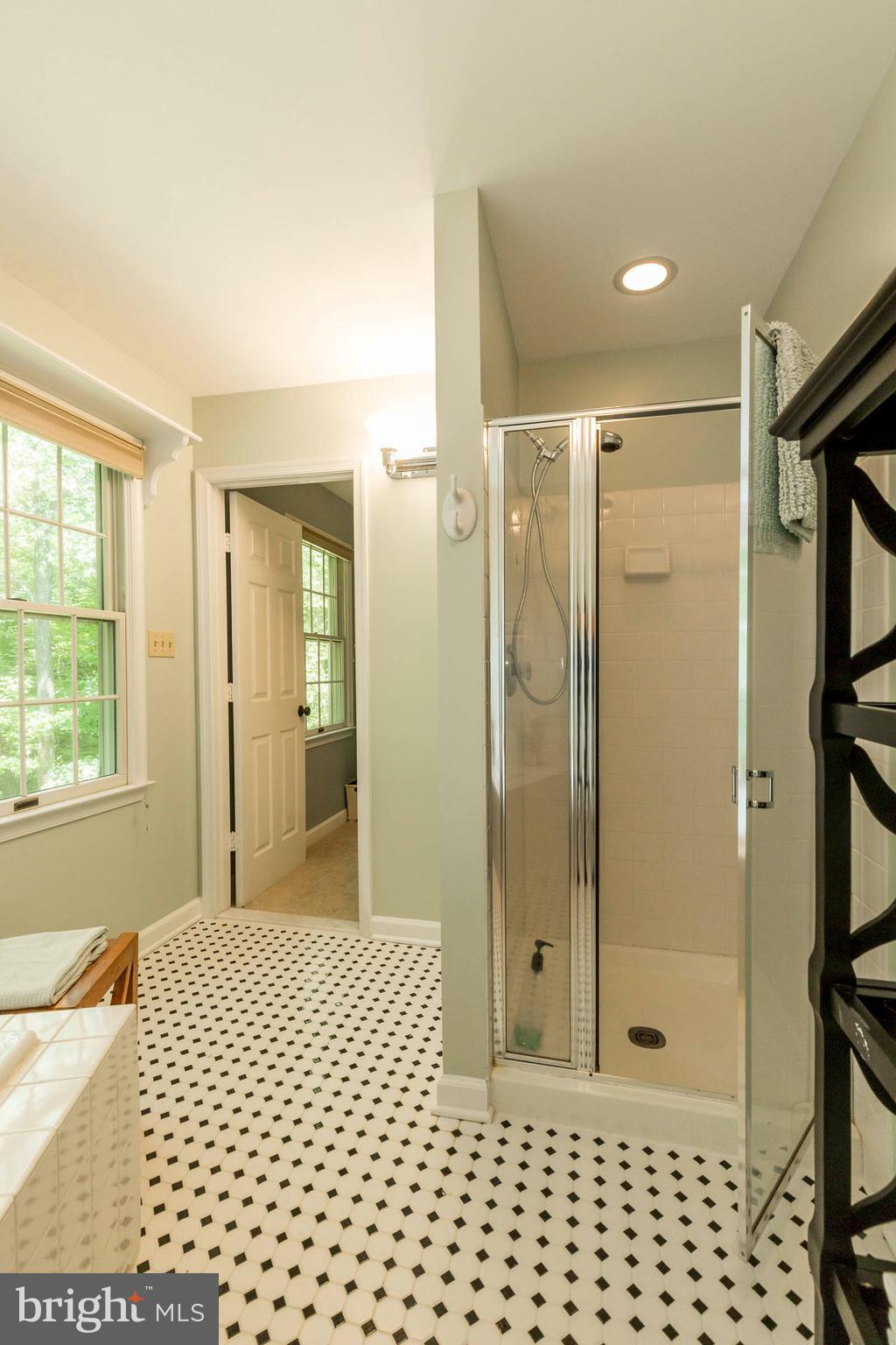 4113 Laurel Road Alexandria, VA 22309 - Photo 22 of 30 Master bath with separate shower.