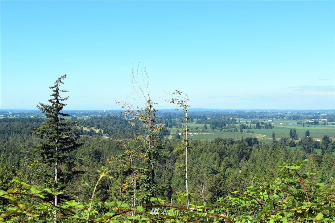 8400 North Pass Road, Unit N Everson, WA 98247 - Photo 5 of 8