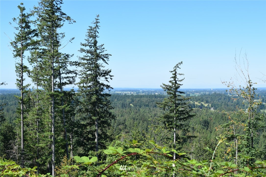 8400 North Pass Road, Unit N Everson, WA 98247 - Photo 8 of 8